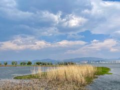 -洱海月湿地公园