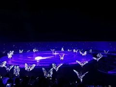 -鼎盛王朝康熙大典实景演出