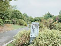-桃花岛景观公园