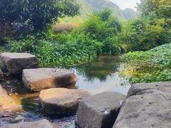 -中国茶叶博物馆(双峰馆区)