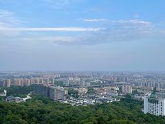 -杭州半山国家森林公园