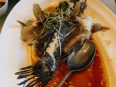 -沪华海鲜大酒楼(南汇店)