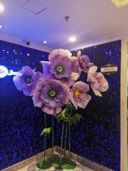 -深圳春天阳光医院·轮廓抗衰中心