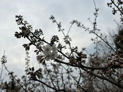 -国际非物质文化遗产博览园