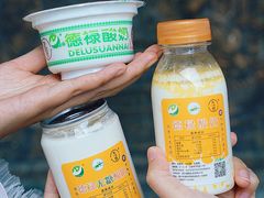 -德禄酸奶(莫家街店)