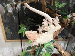 -Zoolung Zoolung动物主题公园(海信广场店)