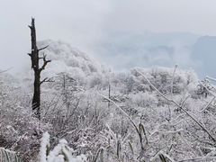 -九峰山