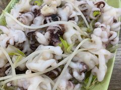 芥末海菊花-贞姨美食·老字号海鲜大排档