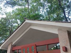 -火炉山森林公园