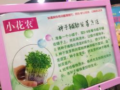 -玩具反斗城(正大广场店)