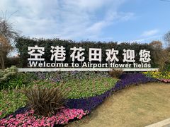 -空港花田景区