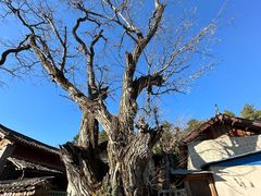 -玉湖村