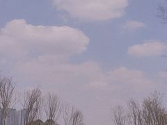 -府河摄影公园