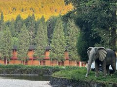 -武陵山森林公园