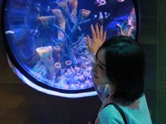 -沈阳海洋探索中心