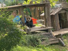 -大连森林动物园