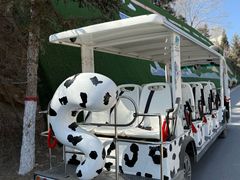 -青藏高原野生动物园