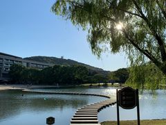 -上海佘山世茂艾美酒店