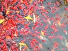 古寿圣寺-古寿圣寺