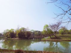 -梁鸿国家湿地公园