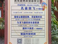 -西双版纳原始森林公园