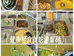 -油梨树AVOCADO TREE(望京店)