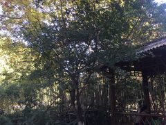 景点-习家池