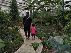 -天源吉布世温泉水乐园