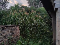 -鸡鸣驿古城