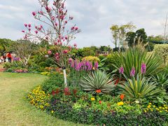 -东莞植物园