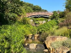 -云溪植物园