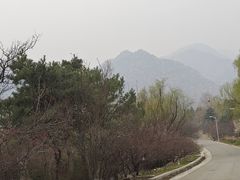 -北京鹫峰国家森林公园