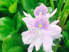 -千龙湖生态旅游度假区