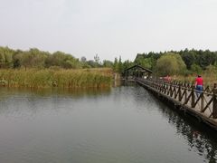-溱湖国家湿地公园