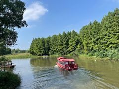 -溱湖国家湿地公园