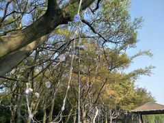 -金鸡湖桃花岛