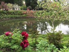 -狼山风景名胜区