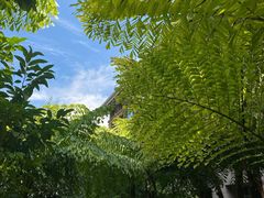 -昆明洲际酒店