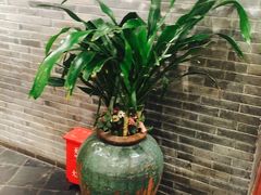 -青藤茶馆(南山路店)