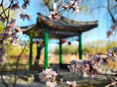 -大兴滨河森林公园