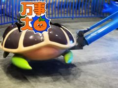 -青岛嘉年华主题乐园