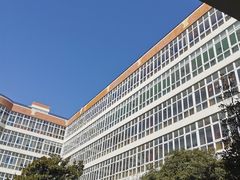 -上海市民办金苹果学校