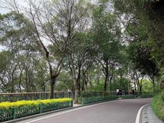 -金鸡山公园