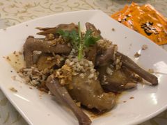 -百利鸽王(紫薇路店)