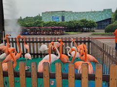 -上海野生动物园