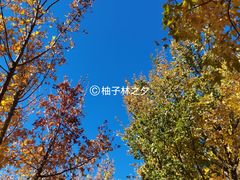 -北宫国家森林公园