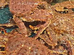 -龙宴海鲜城(经中路店)