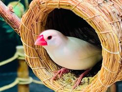 -Zoolung Zoolung动物主题公园(海信广场店)