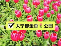 -大宁公园