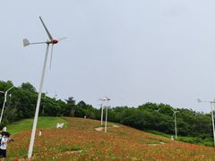 -沈阳植物园